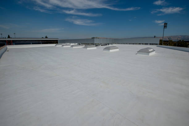 Best Roof Coating and Sealing  in East Meadow, NY