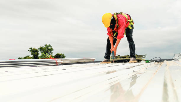 Best Skylight Installation and Repair  in East Meadow, NY
